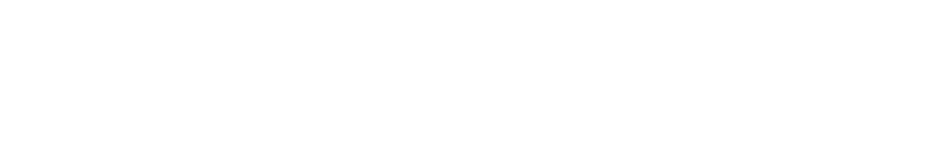 Securitum