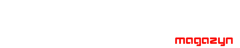 Programista